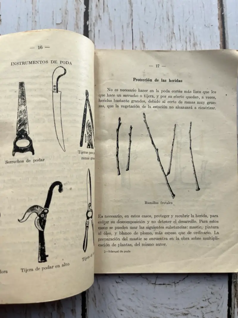 Manual práctico y completo de poda de los arboles - 3