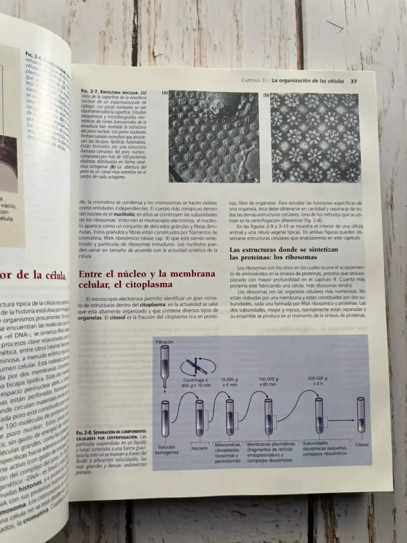 Invitación a la Biología Sexta Edición / Curtis - 5