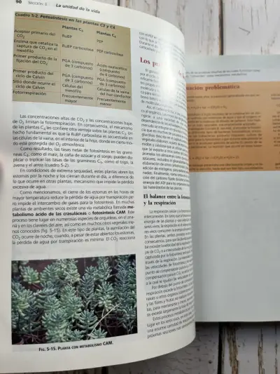 Invitación a la Biología Sexta Edición / Curtis - miniatura 6