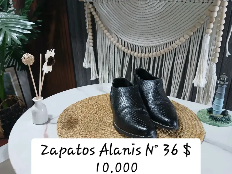 Botas Texanas de Cuero N° 36 - 6