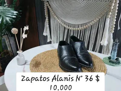Botas Texanas de Cuero N° 36 - miniatura 6