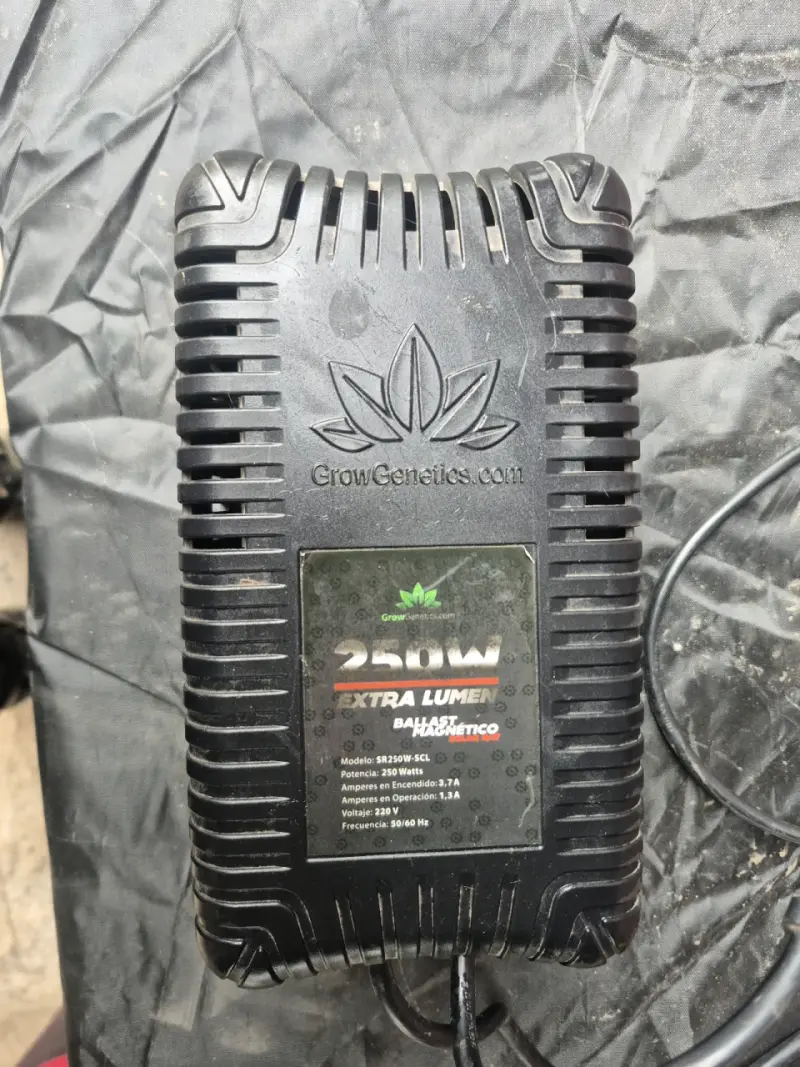Balastro Magnético 250W y sistema de iluminación - 2