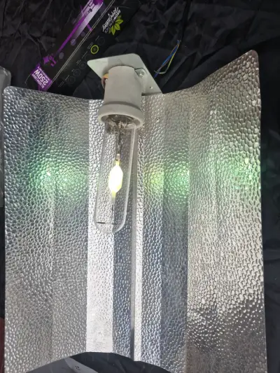 Balastro Magnético 250W y sistema de iluminación - miniatura 4