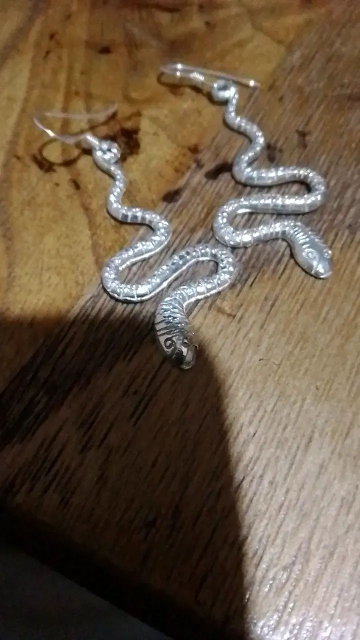 Aros de serpiente en plata brillantes - 2