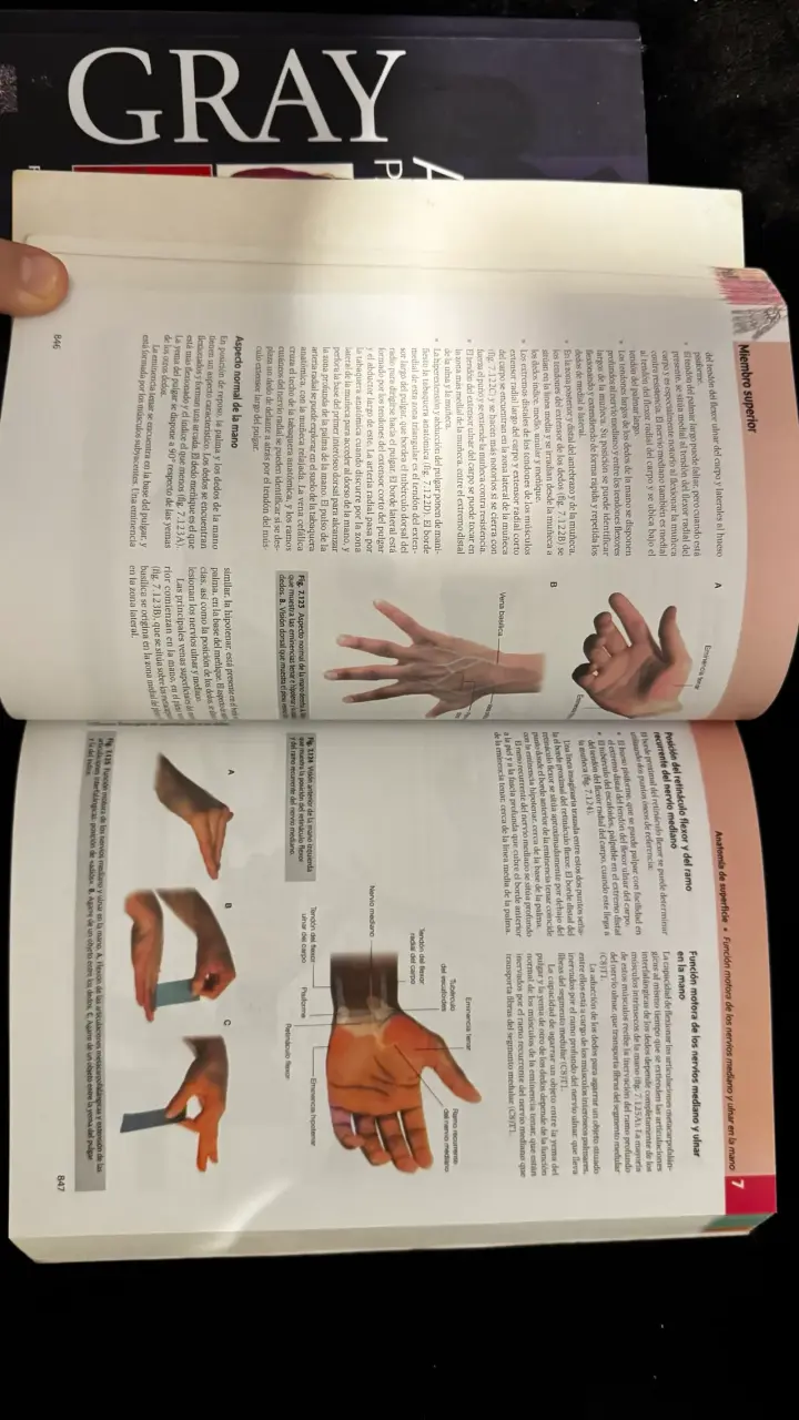 Libro Gray Anatomía para Estudiantes 4 Edición - 4