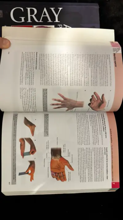 Libro Gray Anatomía para Estudiantes 4 Edición - miniatura 4