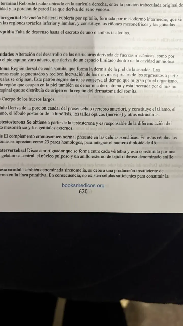 Libro Langman Embriología Médica 14ª Edición - 4