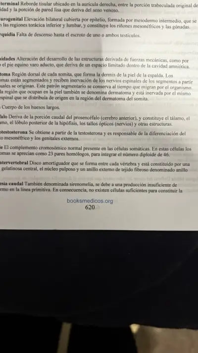 Libro Langman Embriología Médica 14ª Edición - miniatura 4