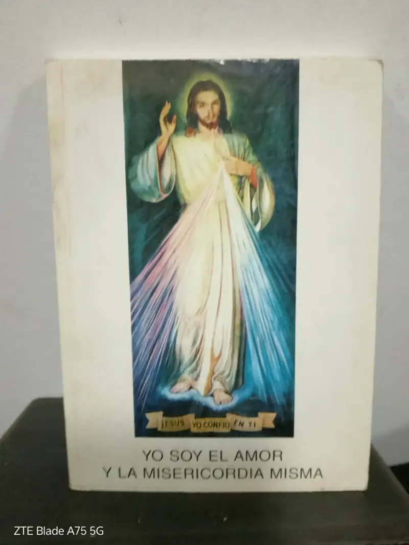 Lote de libros religiosos antiguos + estampitas - 4