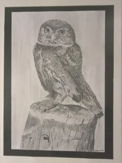 Cuadro de dibujo de búho enmarcado - miniatura 2