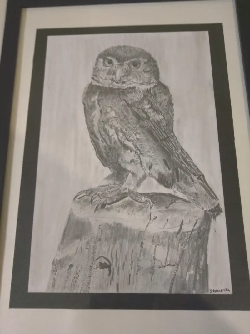 Cuadro de dibujo de búho enmarcado - 3
