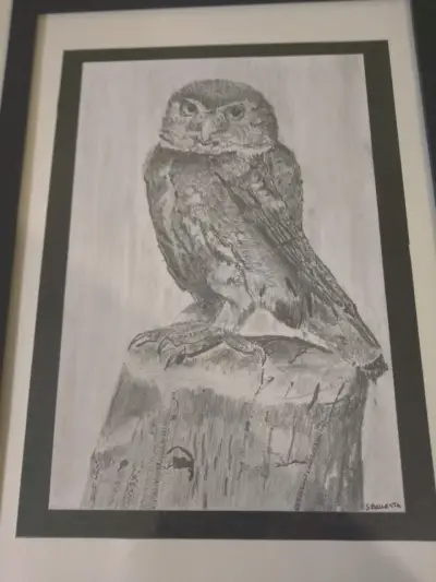 Cuadro de dibujo de búho enmarcado - miniatura 3