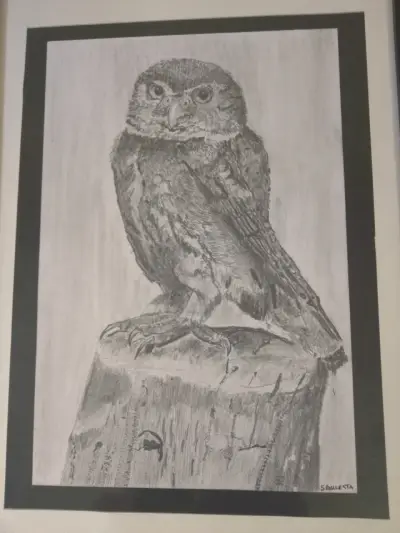 Cuadro de dibujo de búho enmarcado - miniatura 4
