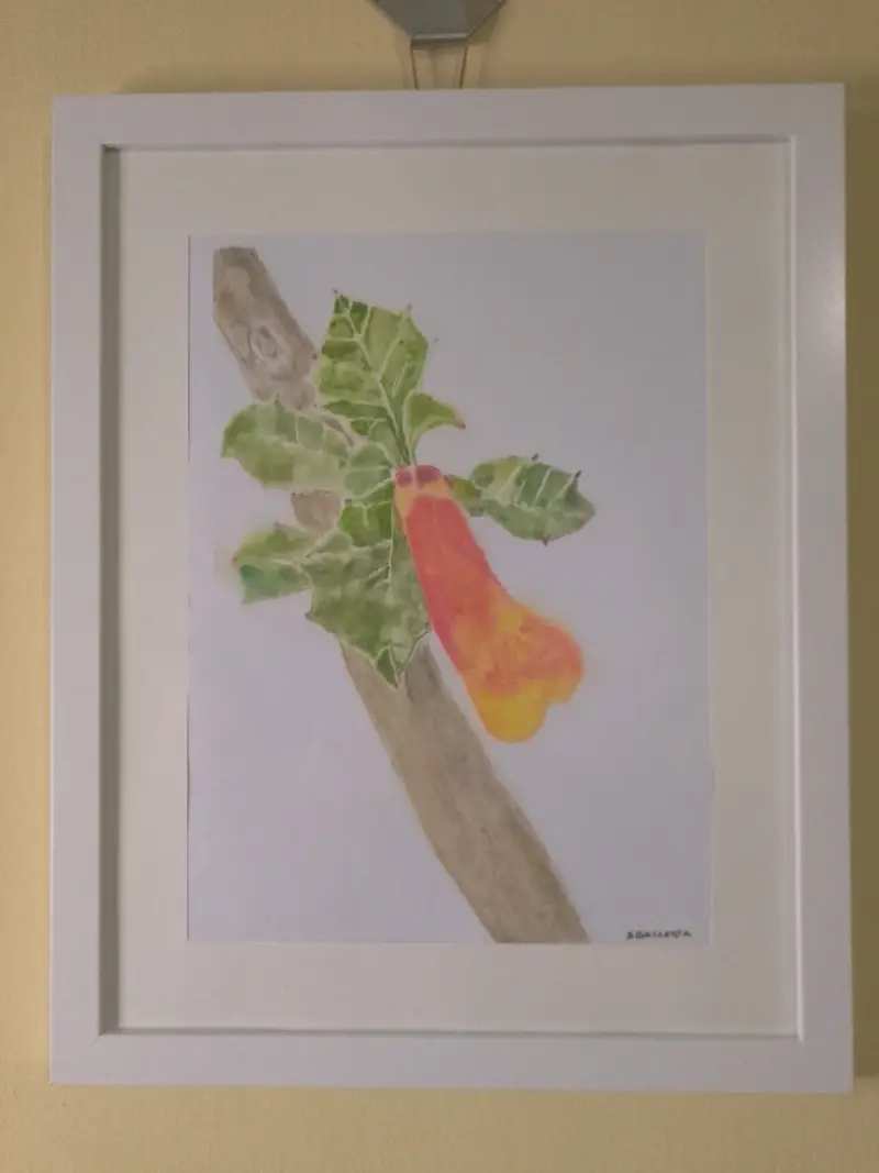 Cuadro de arte botánico enmarcado - 2