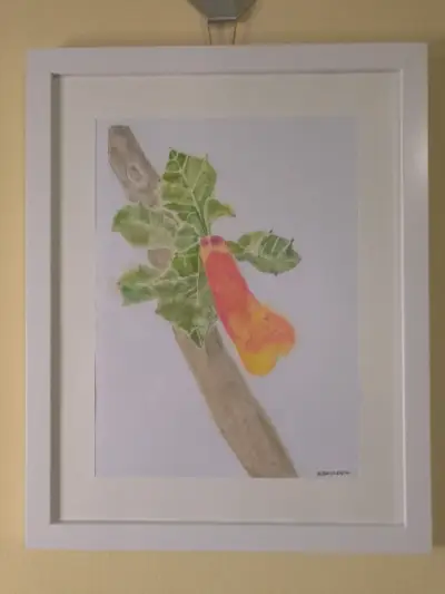 Cuadro de arte botánico enmarcado - miniatura 2