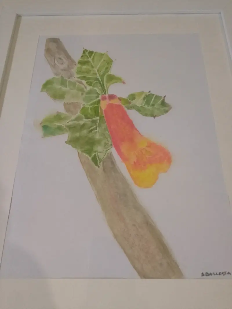 Cuadro de arte botánico enmarcado - 3