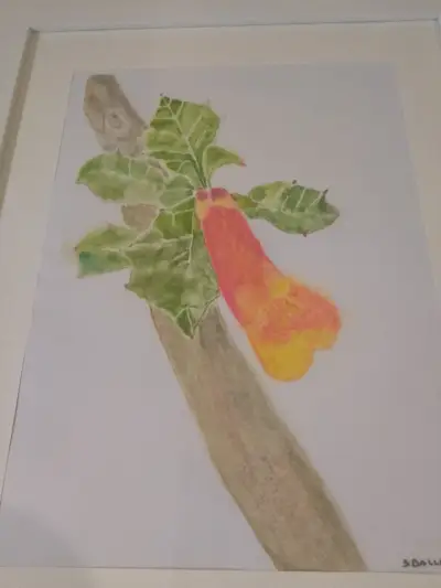 Cuadro de arte botánico enmarcado - miniatura 4