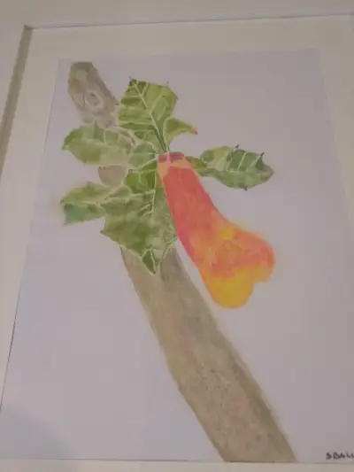 Cuadro de arte botánico enmarcado - miniatura 5