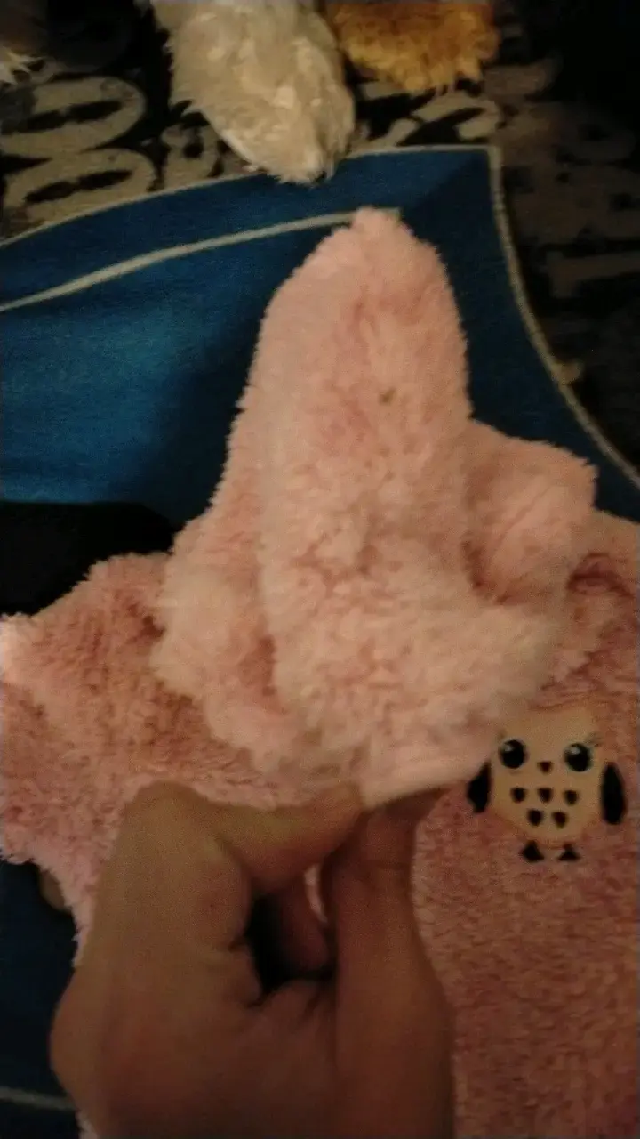 Enterito de bebé rosado con capucha - 3