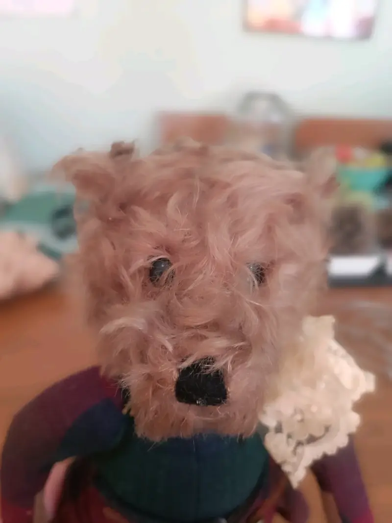 Oso De Peluche Colección Canterbury Bears "Linsey" - 6