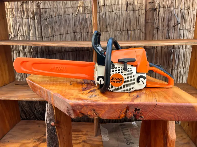 Motosierra Stihl MS 250 en buen estado - 1
