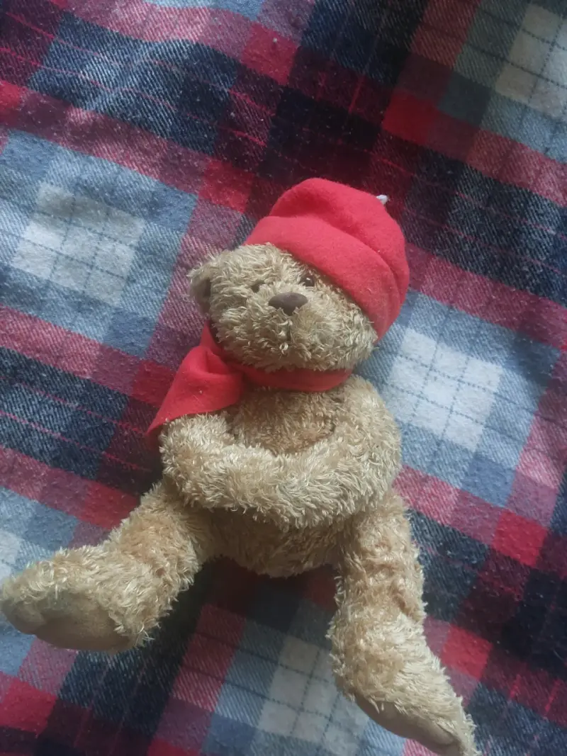 Peluches - 2