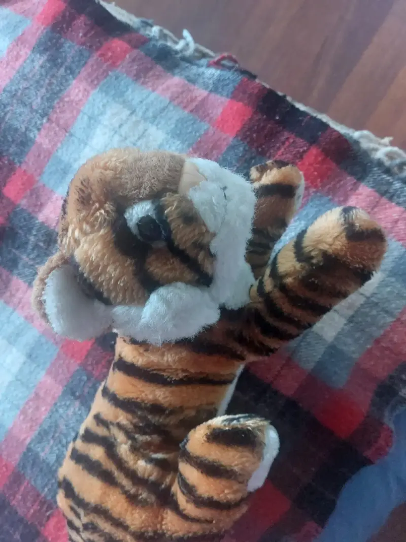Peluches - 2