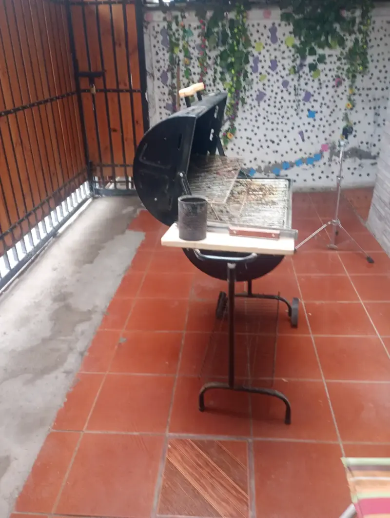 Parrilla de carbón con tapa y ruedas - 2