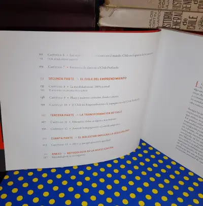 El Chile Profundo - Alberto Mayol - miniatura 4