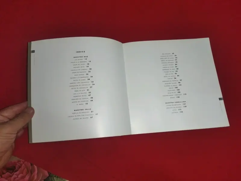 Libro Sabores y Colores del Maule - 4
