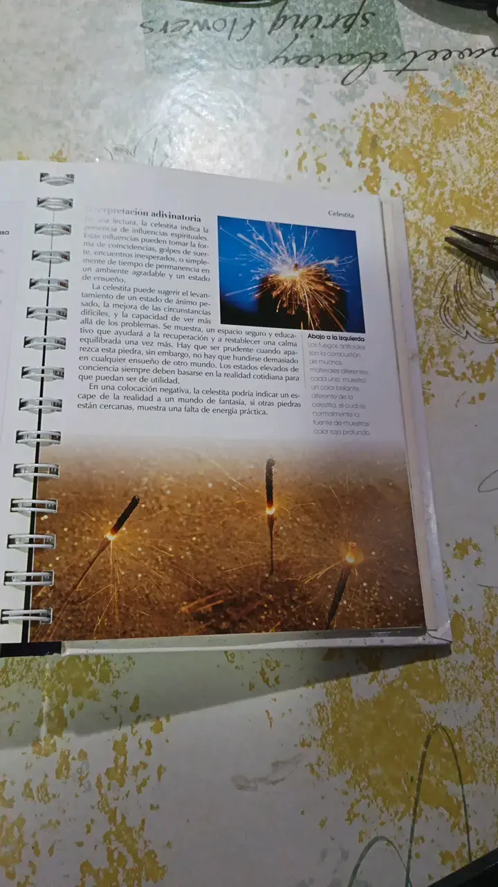 Libro 'Los Cristales Guía Práctica' de Sue Lilly - 3