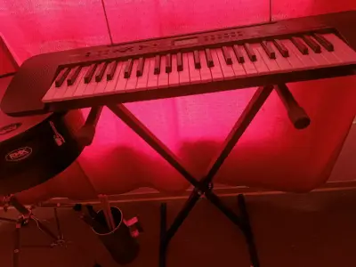 Teclado Musical Casio CTK-240 de 49 Notas - miniatura 1