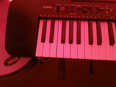 Teclado Musical Casio CTK-240 de 49 Notas - miniatura 2