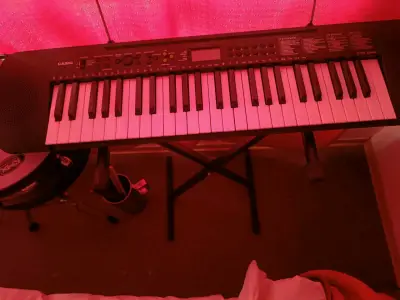 Teclado Musical Casio CTK-240 de 49 Notas - miniatura 3
