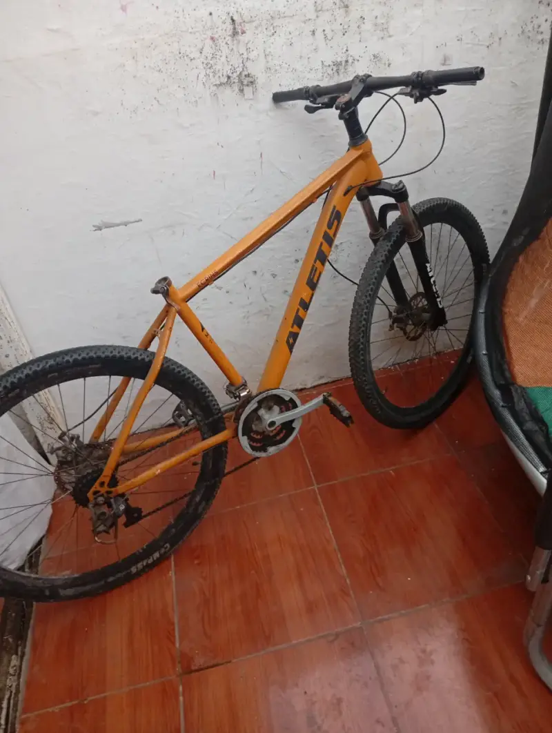 Bicicleta atletis necesita mantención y sillin - 1