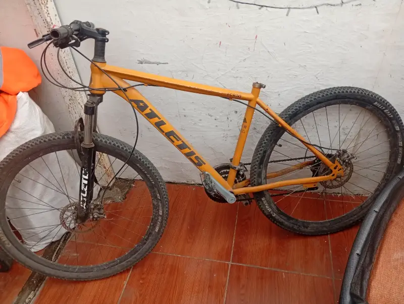 Bicicleta atletis necesita mantención y sillin - 2