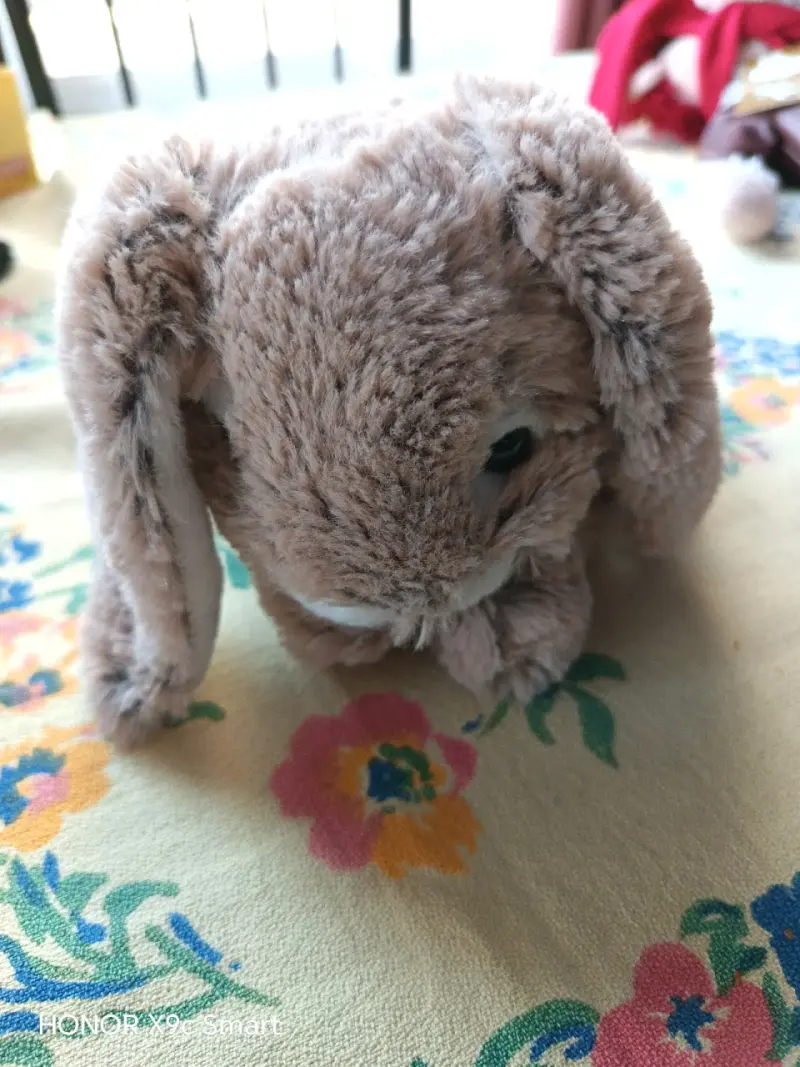 Peluches variados de personajes populares - 4