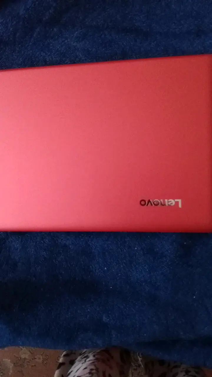 Notebook Lenovo Ideapad 110 rojo con cargador - 1