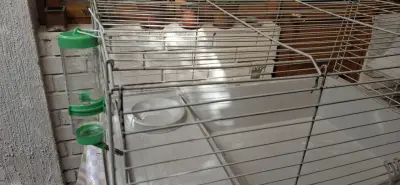 Jaula para roedores Ferplast con accesorios - miniatura 4