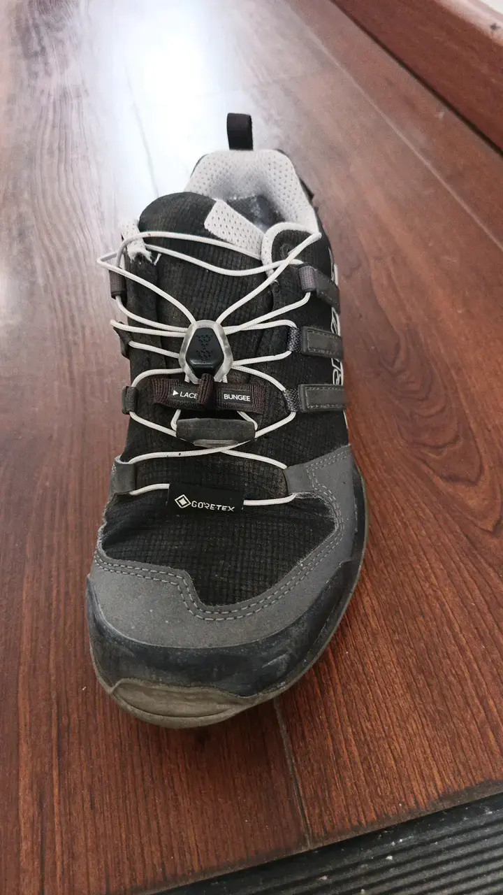 Zapatillas de trekking Adidas Terrex Gore-Tex negras - 1