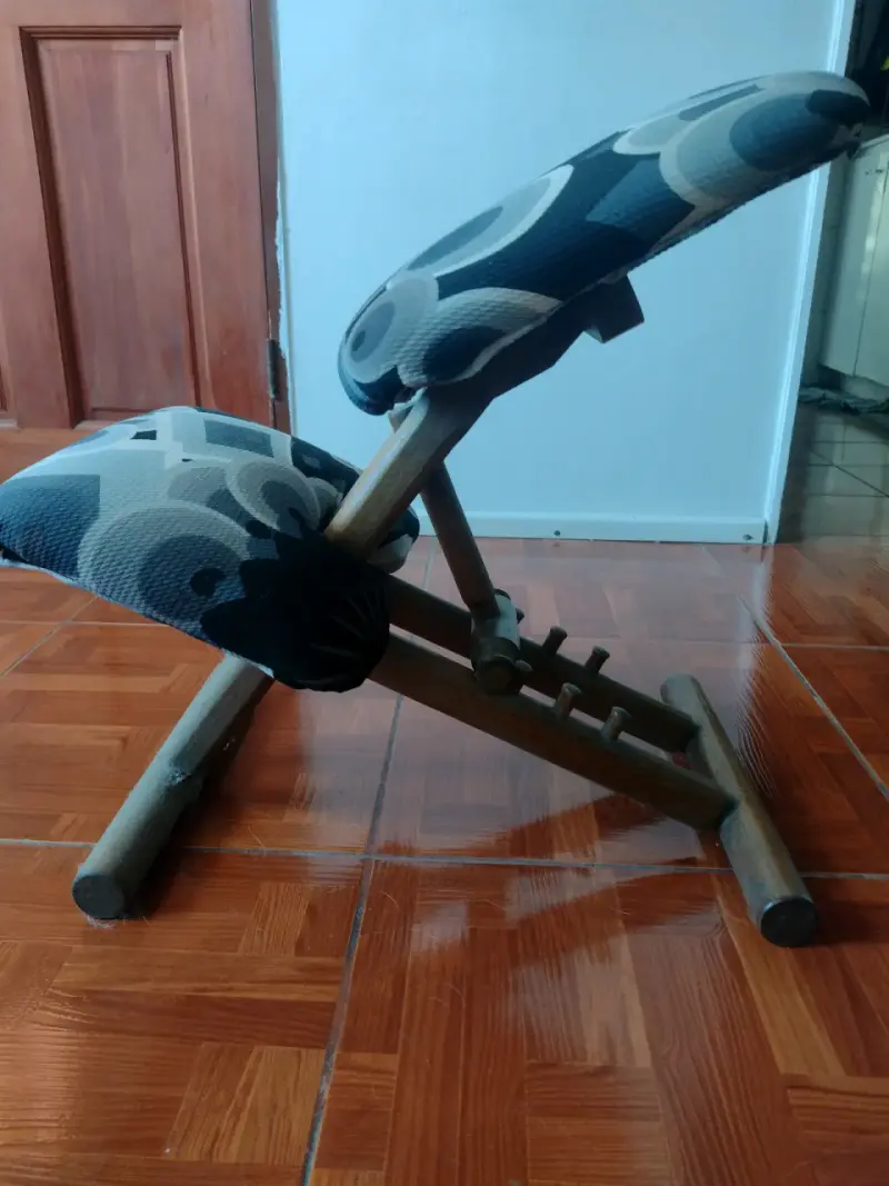 Silla ergonómica de madera con cojines estampados - 2