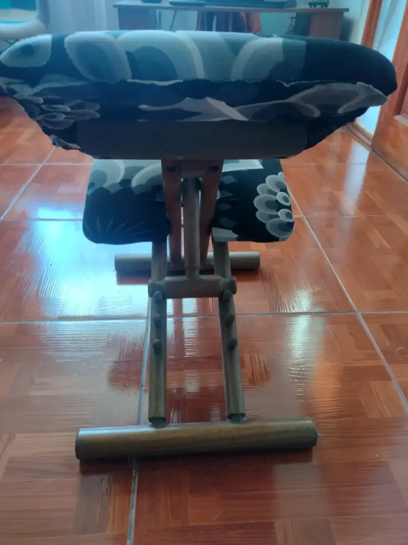 Silla ergonómica de madera con cojines estampados - 3