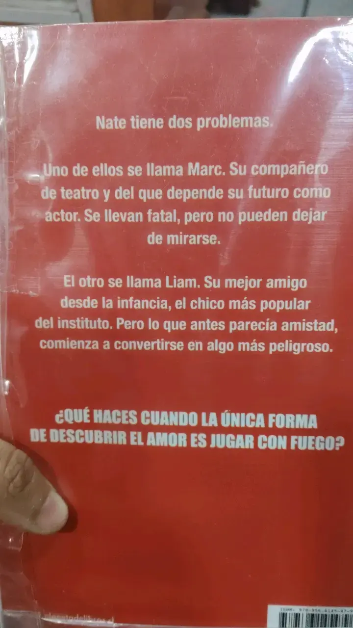 Libro 'Los Chicos Que Juegan Con Fuego' - 2