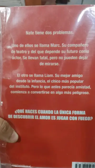 Libro 'Los Chicos Que Juegan Con Fuego' - miniatura 2