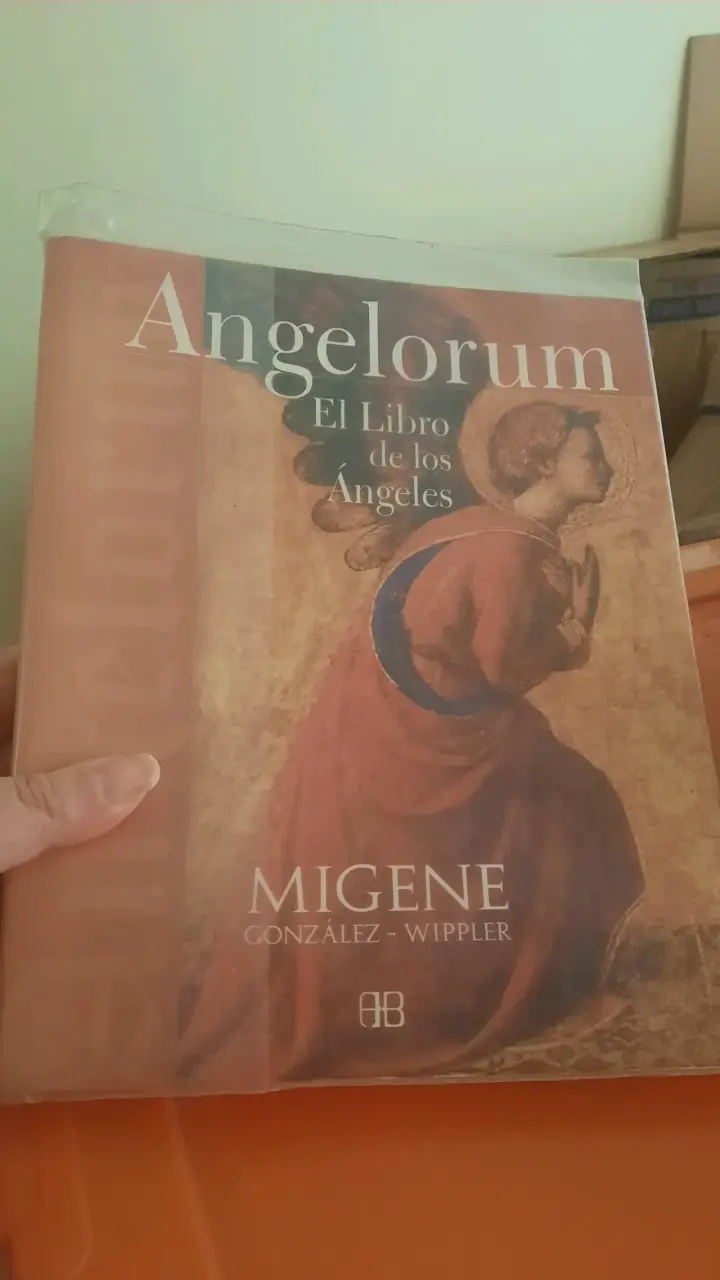 Libro Angelorum libro ángeles de Migene Gonzalez