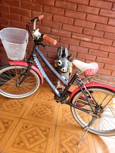 Bicicleta Oxford Ciclotour para niña con canasto - miniatura 1