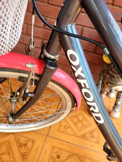 Bicicleta Oxford Ciclotour para niña con canasto - miniatura 2