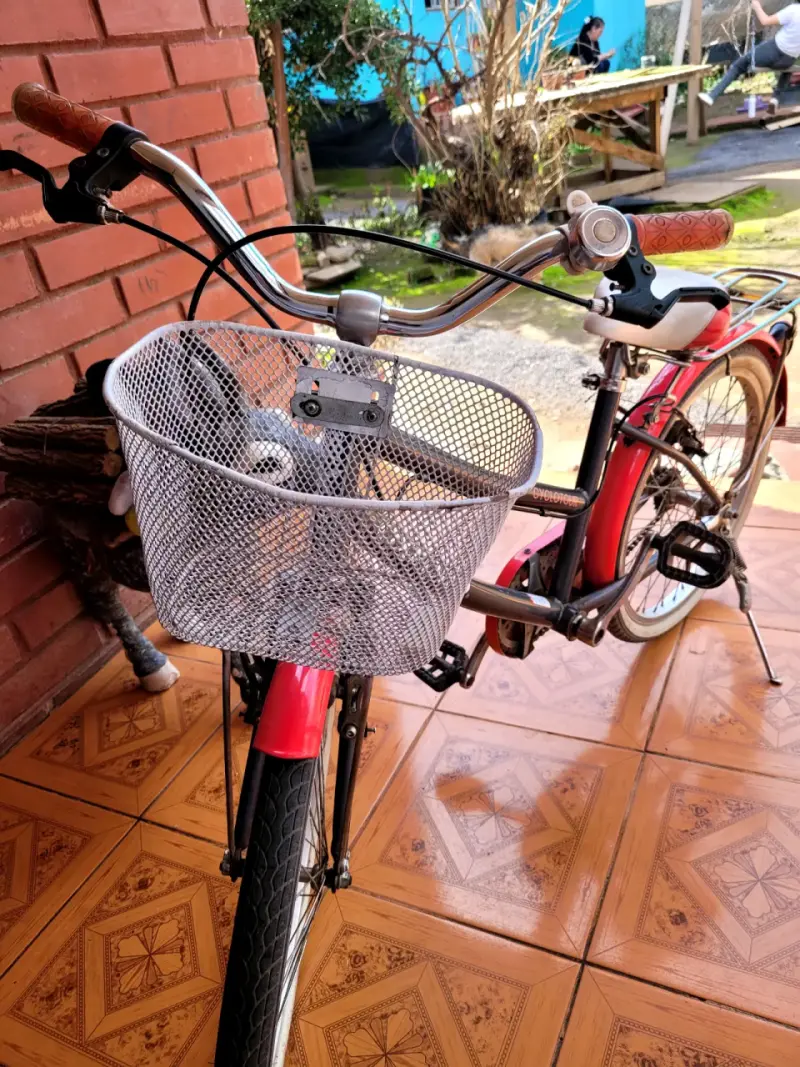 Bicicleta Oxford Ciclotour para niña con canasto - 5