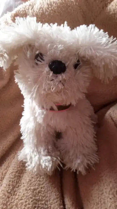 Peluche de perro blanco con collar rosa - miniatura 1