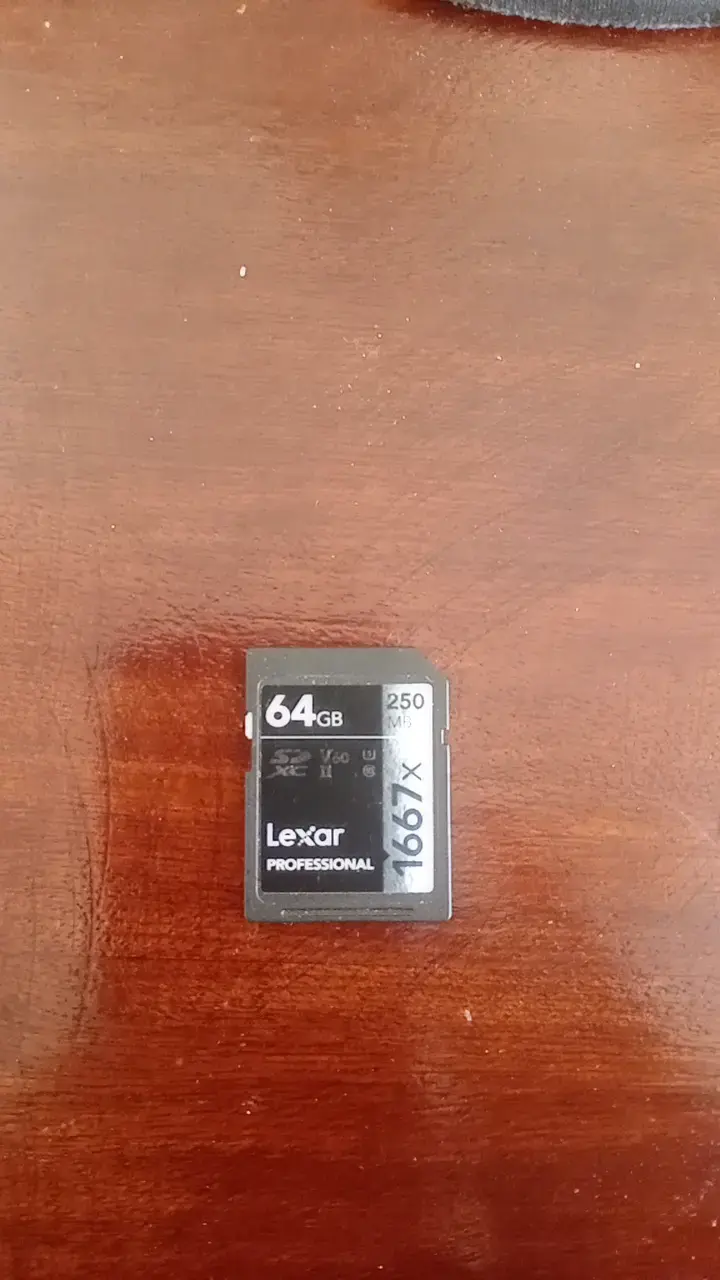 Tarjeta de Memoria Lexar Professional 64GB 1667x